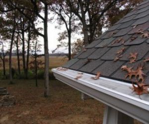 Gutter After – Pest Control in Barboursville, VA