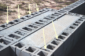 hidden-ways-termites-get-in-your-home