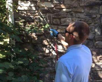 Exterminator – Pest Control in Virginia