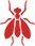Flies
