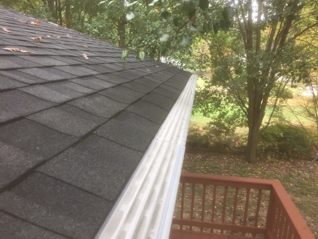 Gutter Shield – Pest Control in Virginia